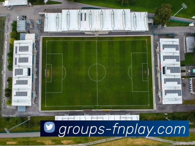 蜂鸟电竞平台平台生态图